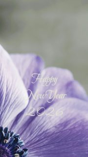 3A05EE7C-B32E-4D59-A3D3-447B08E8F89C